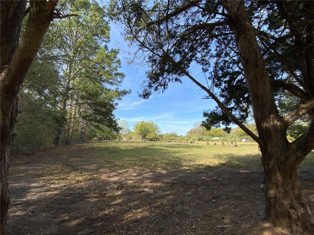 23206 NW 102 Nd Avenue Alachua FL 32615 GC529523 image13