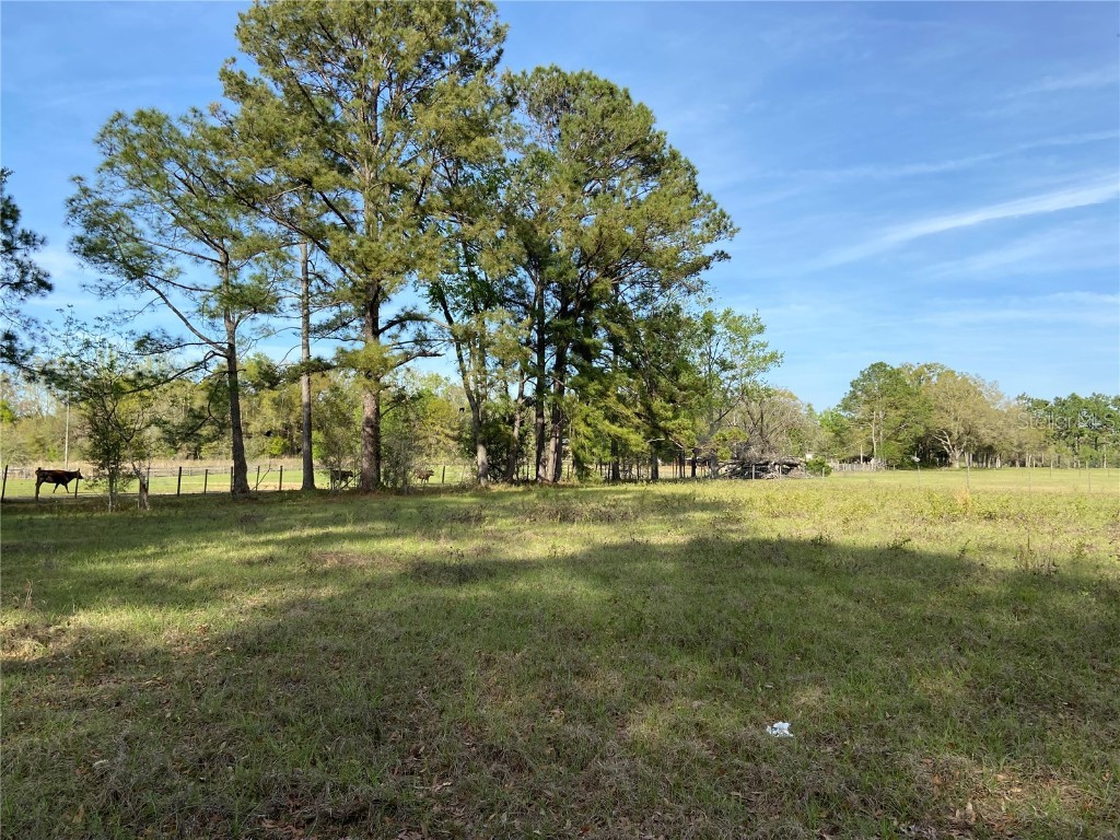 23206 NW 102 Nd Avenue Alachua FL 32615 GC529523 image16