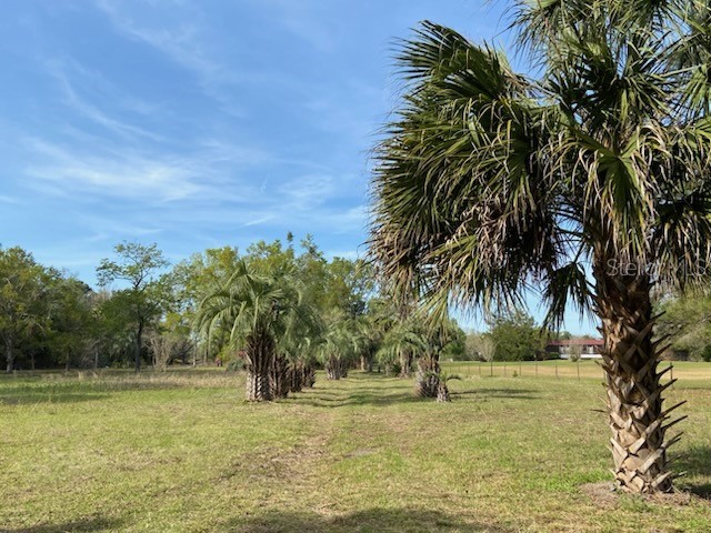 23206 NW 102 Nd Avenue Alachua FL 32615 GC529523 image2