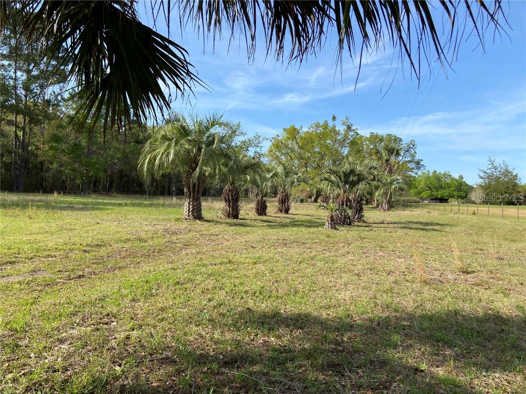 23206 NW 102 Nd Avenue Alachua FL 32615 GC529523 image4