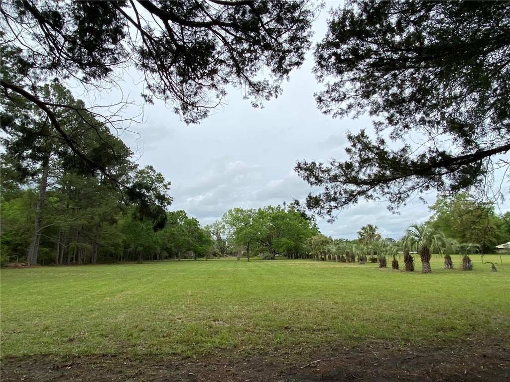 23206 NW 102 Nd Avenue Alachua FL 32615 GC529523 image8