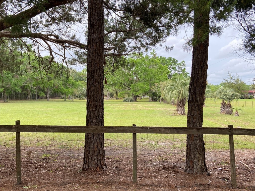 23206 NW 102 Nd Avenue Alachua FL 32615 GC529523 image9