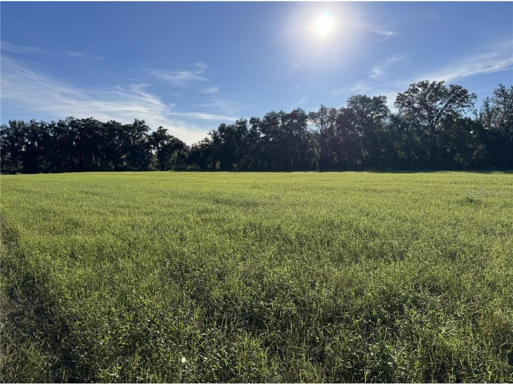 23207 E County Road 1474 Hawthorne FL 32640 FC314013 image3