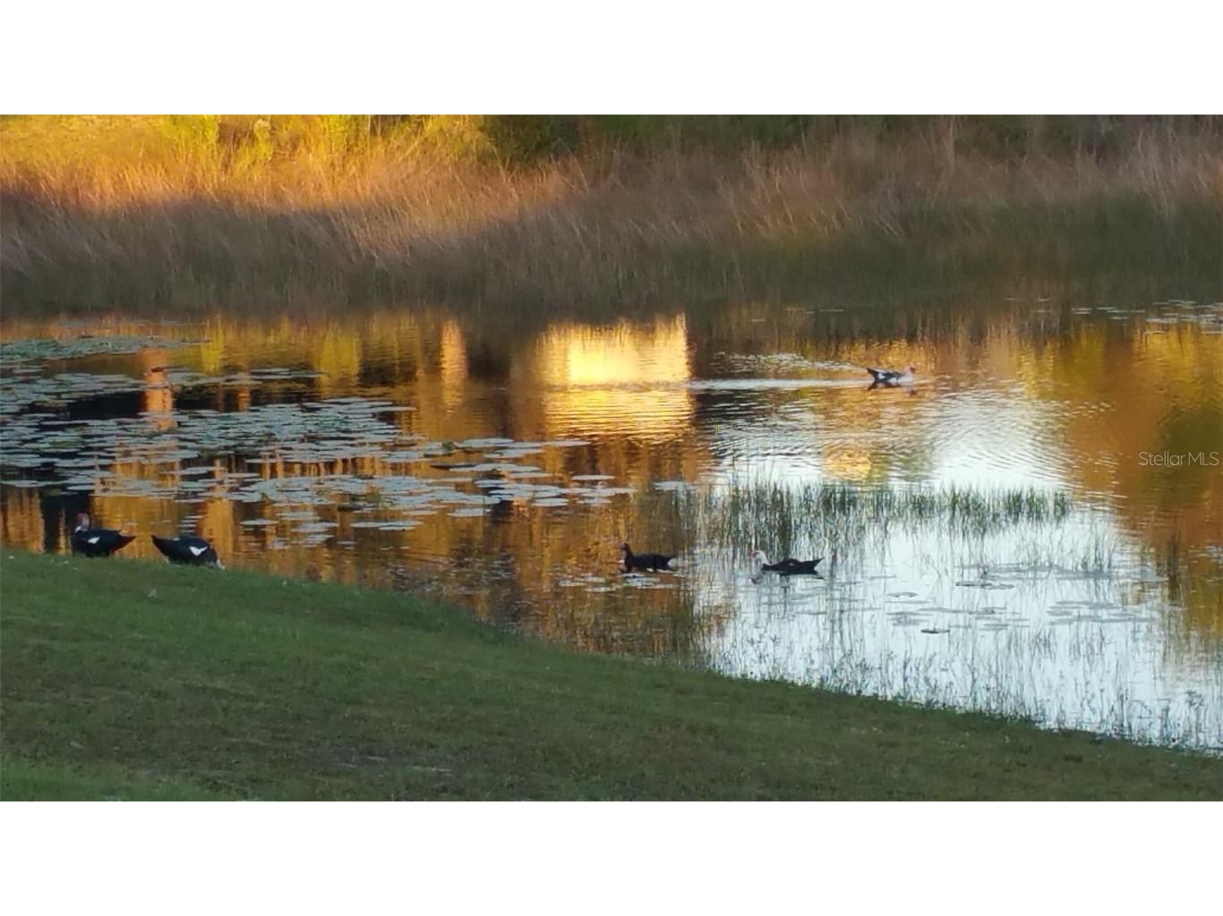 2321 Asbury Road Deltona FL 32738 V4936366 image1