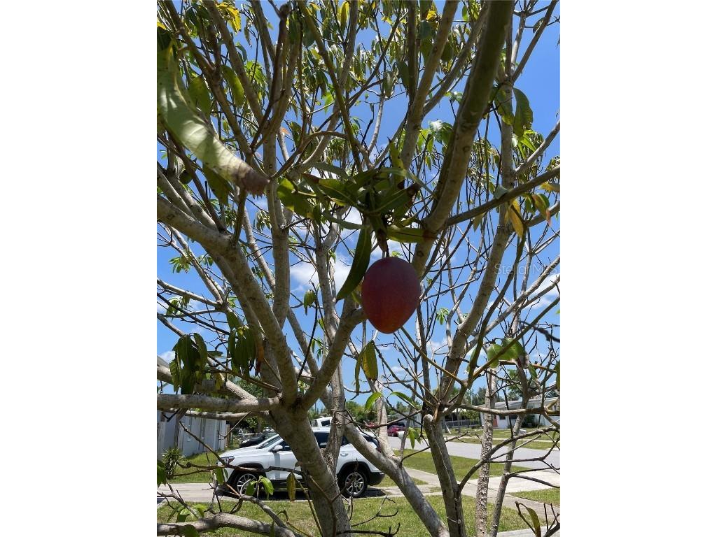 2321 Dallas Street Port Charlotte FL 33952 C7509357 image37