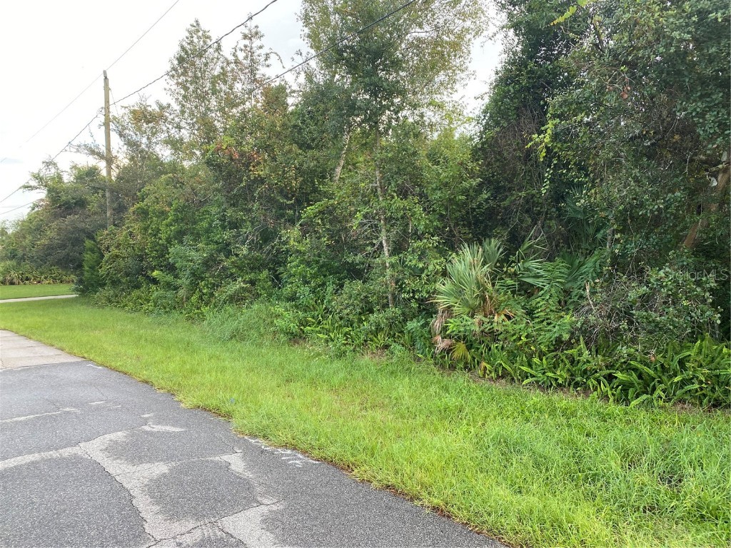 2321 E Timbercrest Drive Deltona FL 32738 - ANNE MARIE LAKE O6140987 image1