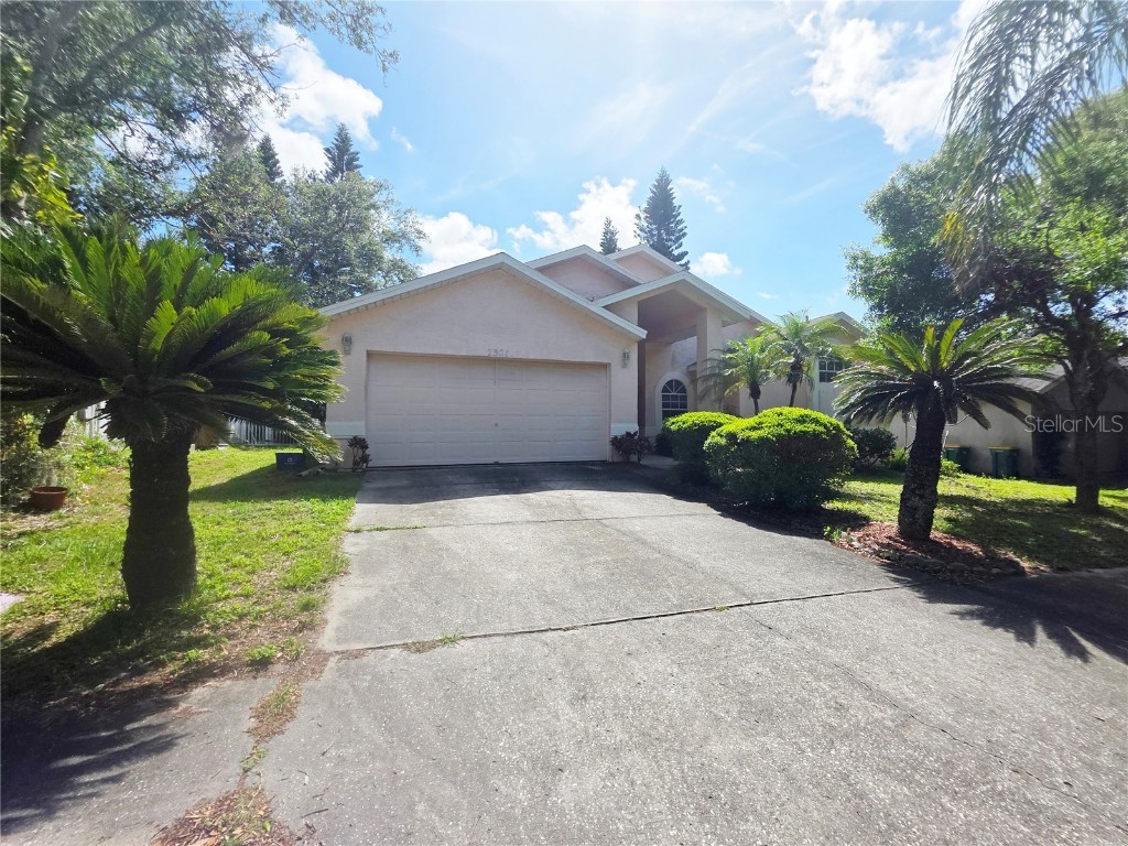 2321 Islander Court Palm Harbor FL 34683 TB8369418 image1