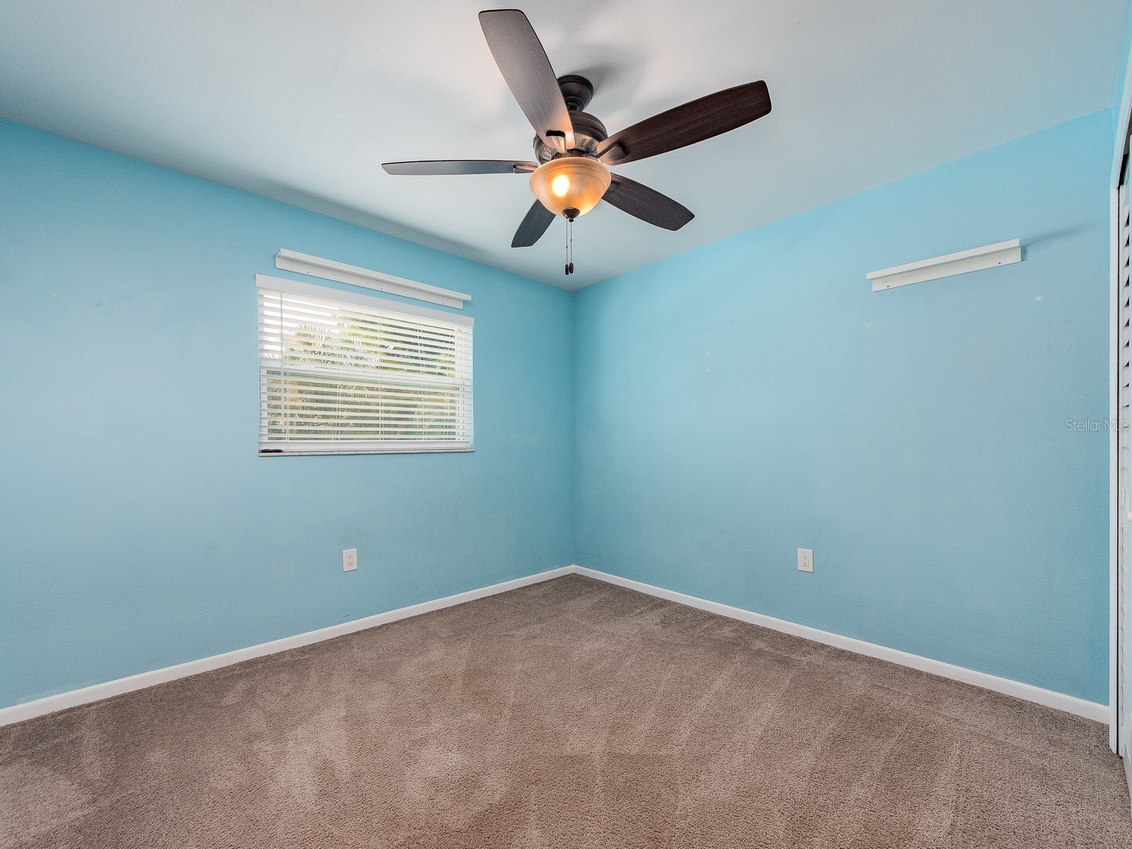 2321 Maben Avenue Palm Harbor FL 34683 TB8525060 image24