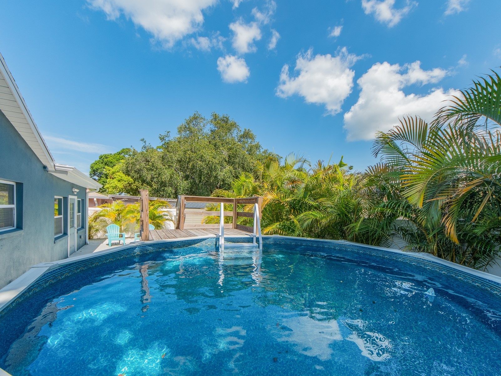 2321 Maben Avenue Palm Harbor FL 34683 TB8525060 image28
