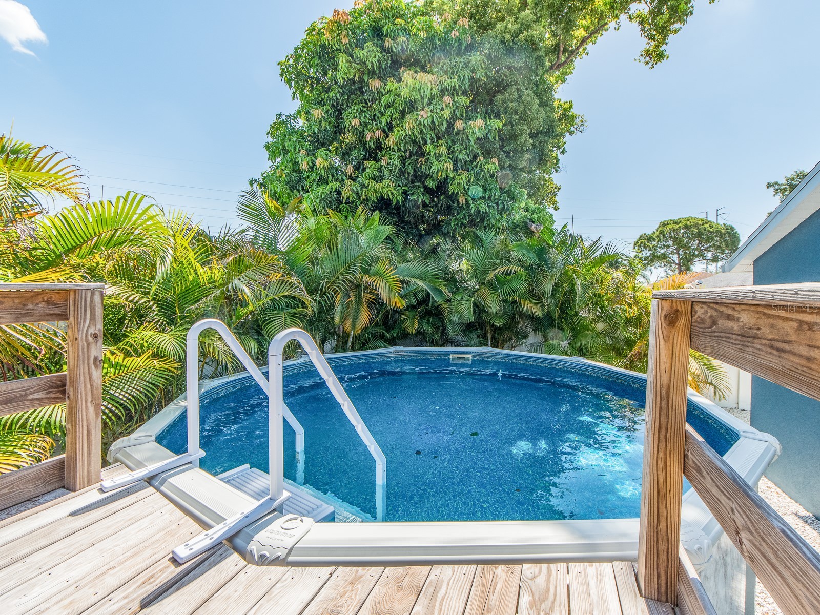 2321 Maben Avenue Palm Harbor FL 34683 TB8525060 image32
