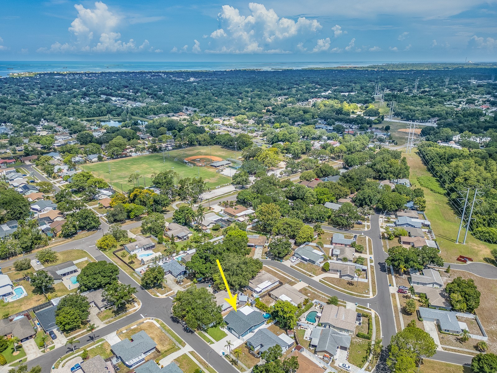 2321 Maben Avenue Palm Harbor FL 34683 TB8525060 image36