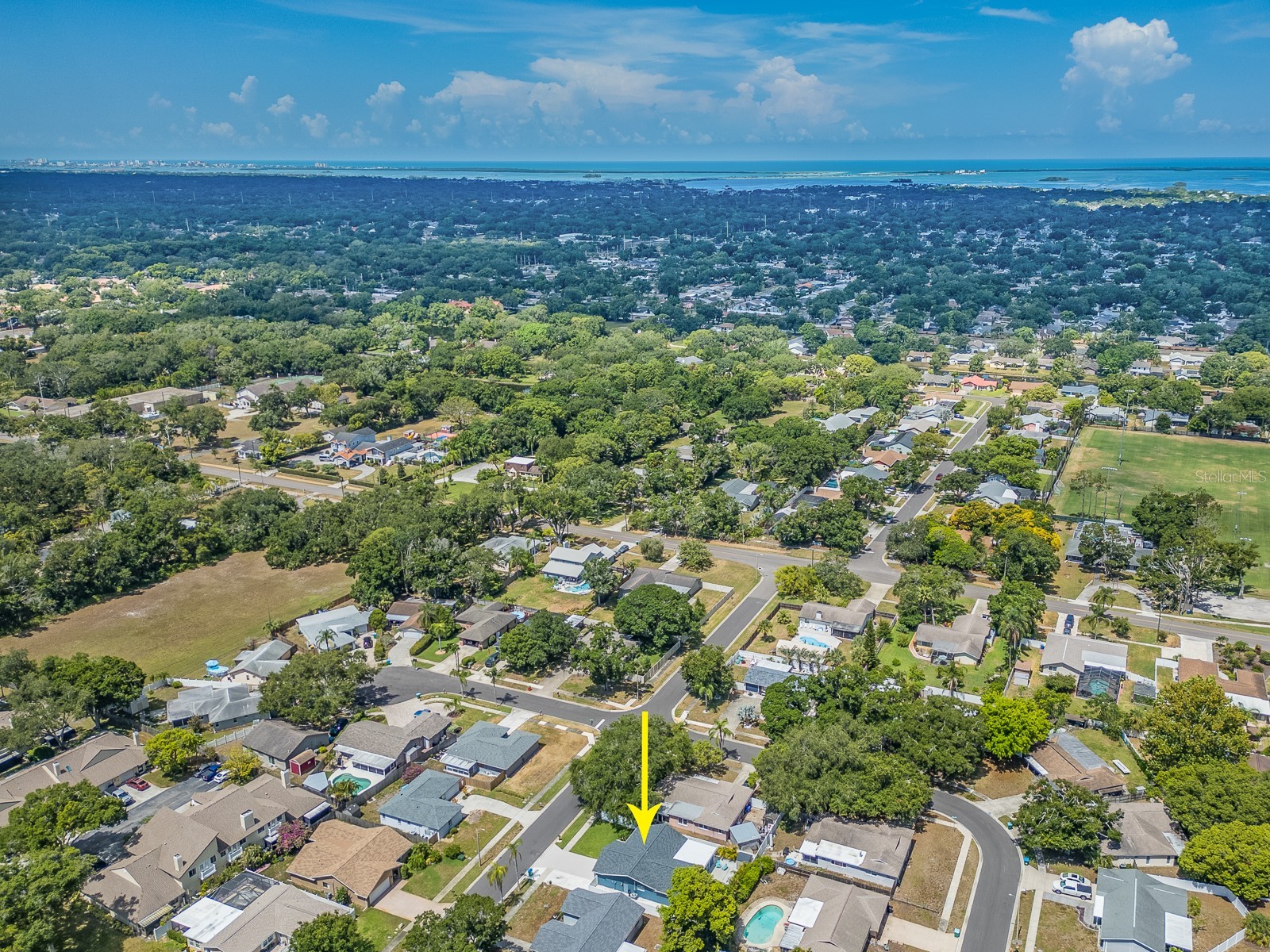2321 Maben Avenue Palm Harbor FL 34683 TB8525060 image37