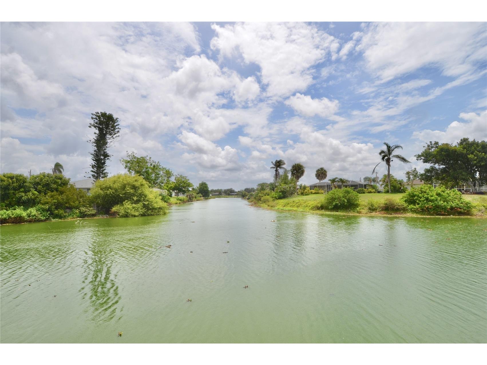 2321 Sandlewood Drive Venice FL 34293 N6144544 image2