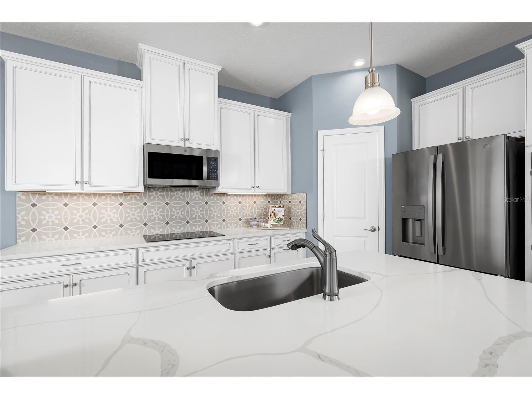 2321 Scenic Park Loop Wimauma FL 33598 W7881961 image7