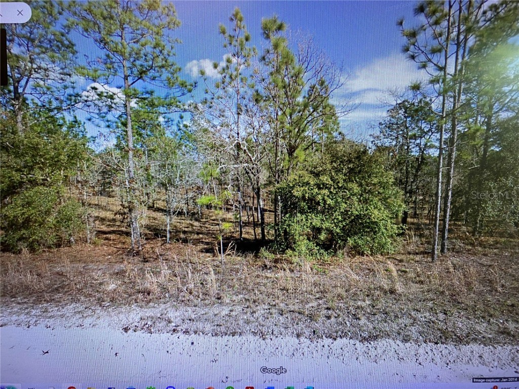 2321 SE 150th Avenue Morriston FL 32668 O6158081 image1