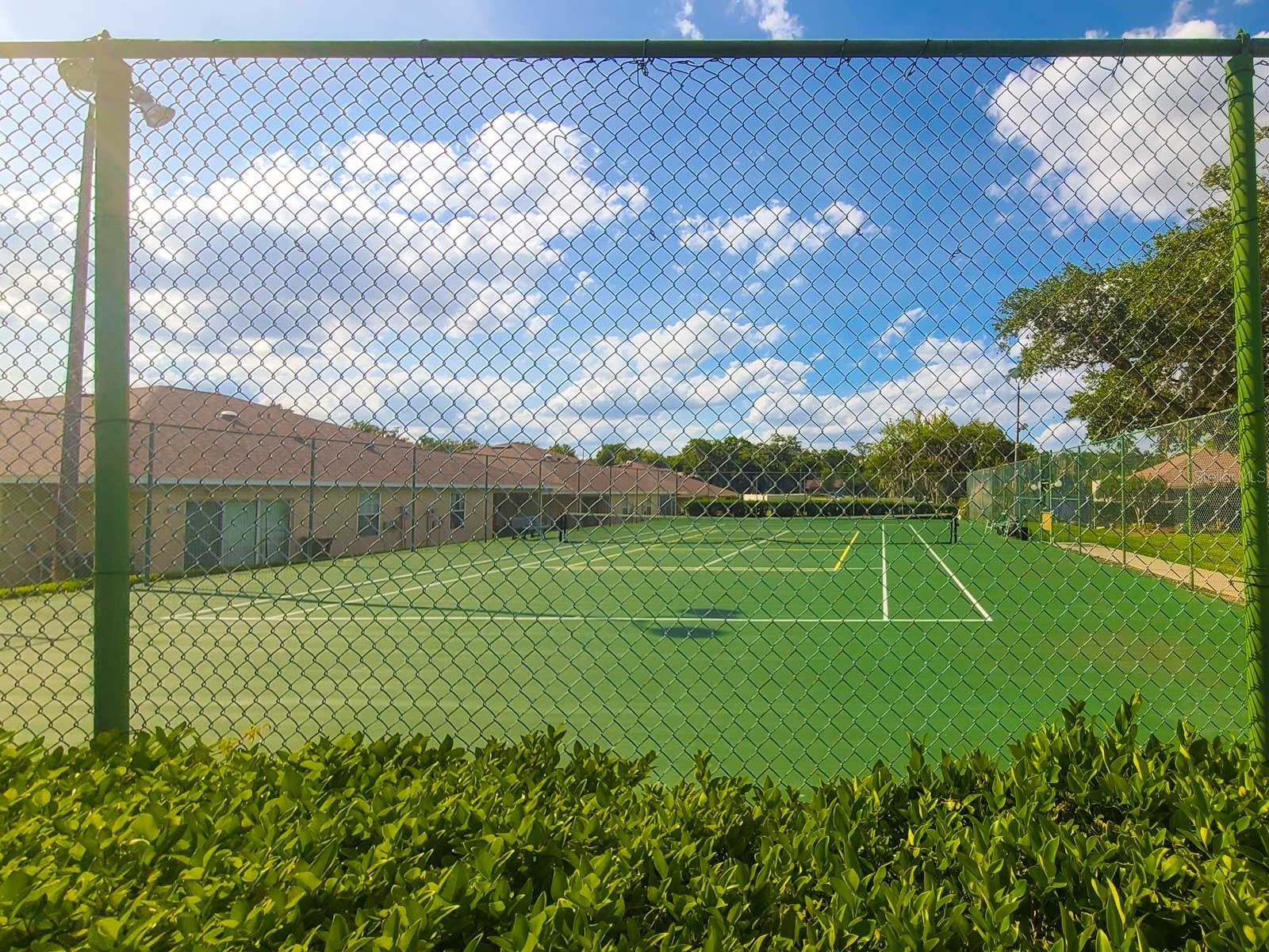 2321 SE 19th Circle Ocala FL 34471 OM724494 image44