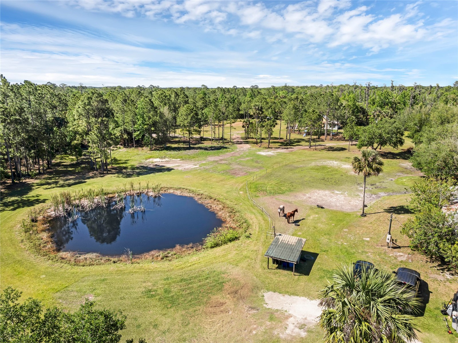 2321 Waccassa Street Geneva FL 32732 O6388152 image2