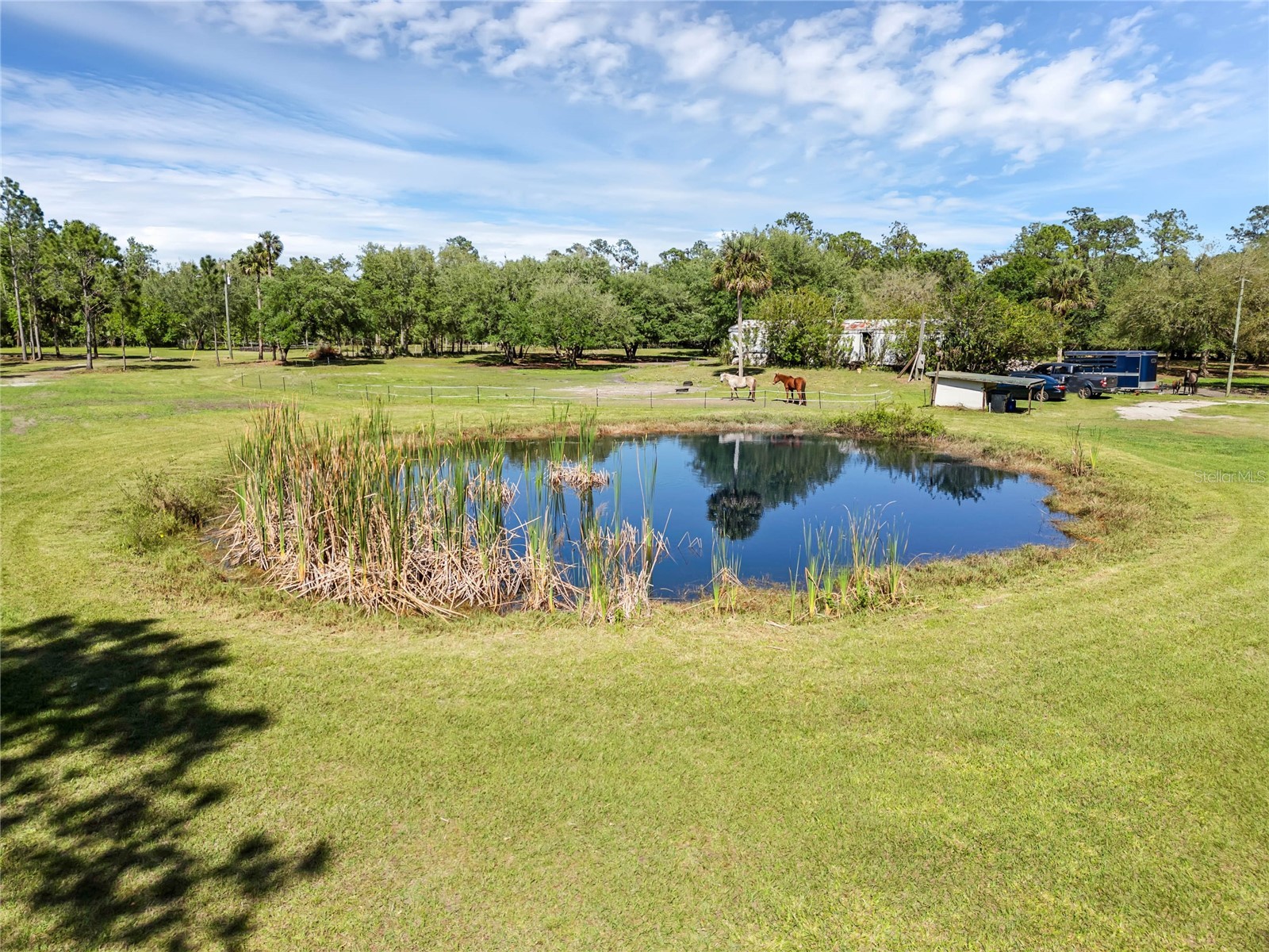 2321 Waccassa Street Geneva FL 32732 O6388152 image4