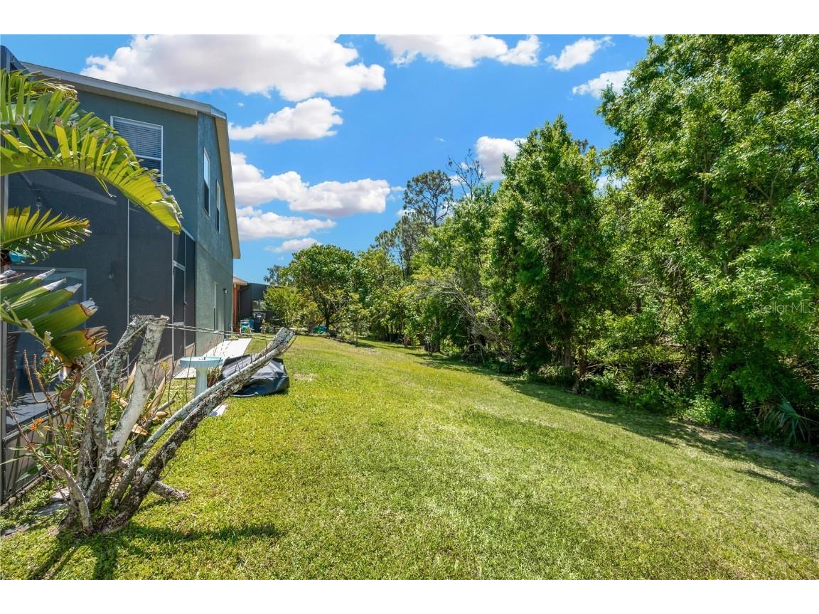 2321 Wood Pointe Drive Holiday FL 34691 TB8378967 image37