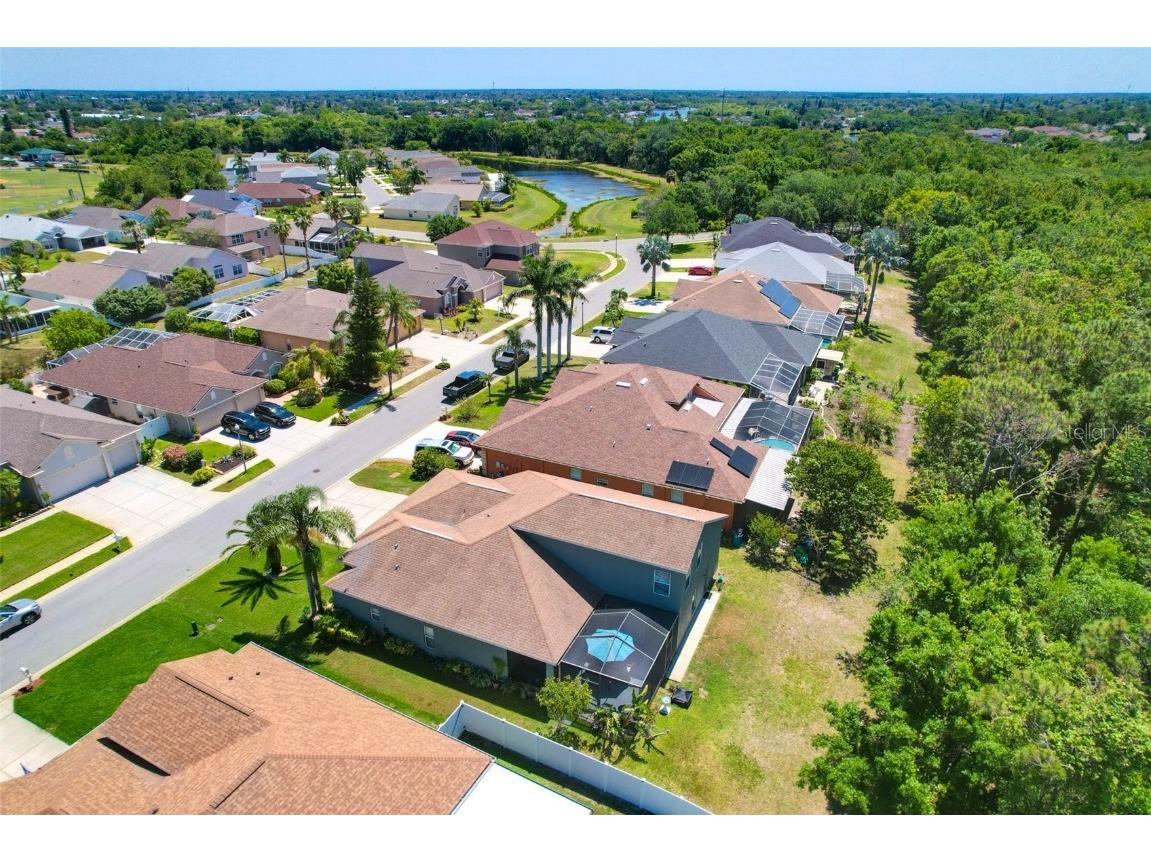 2321 Wood Pointe Drive Holiday FL 34691 TB8378967 image57