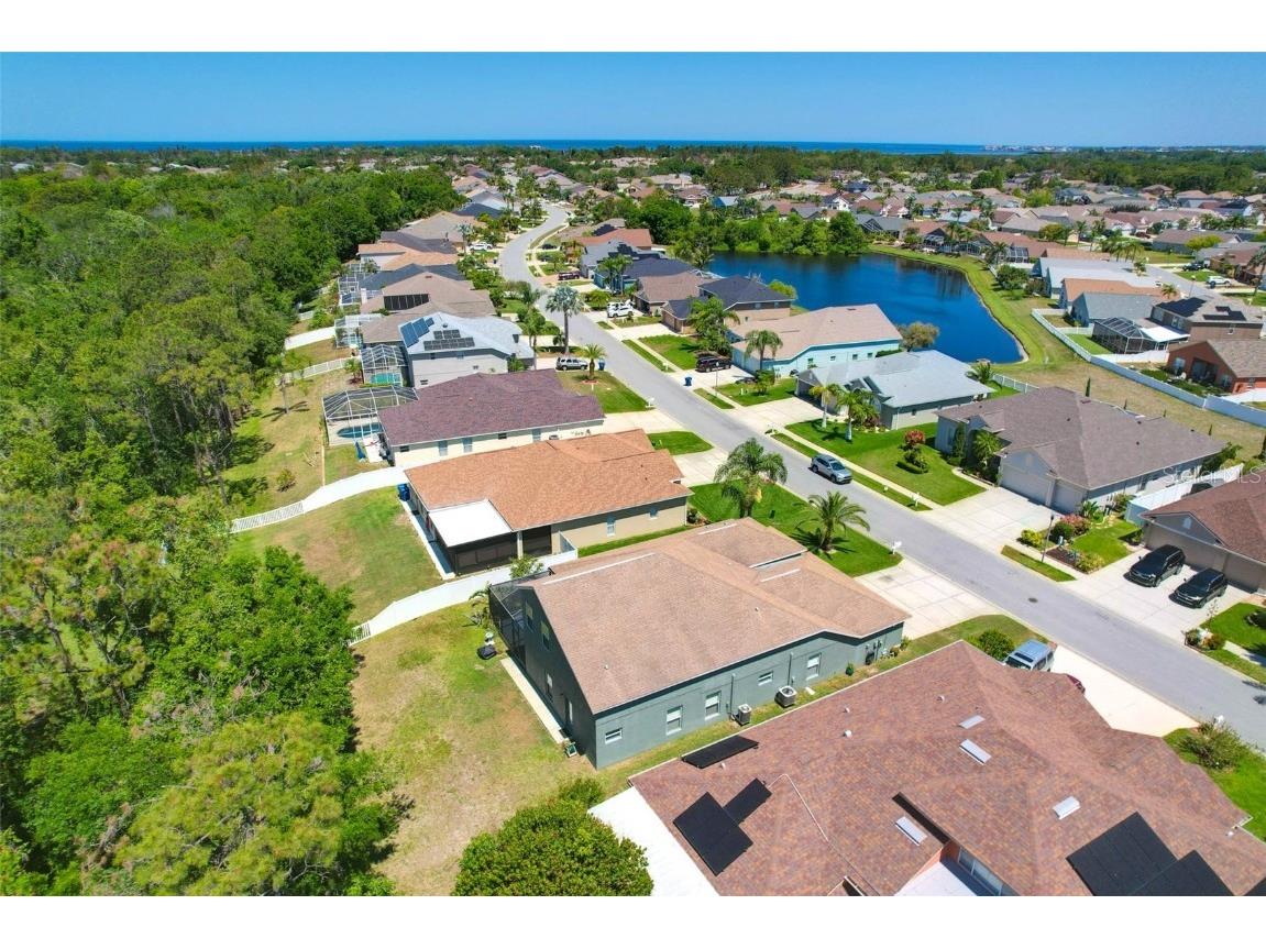 2321 Wood Pointe Drive Holiday FL 34691 TB8378967 image58