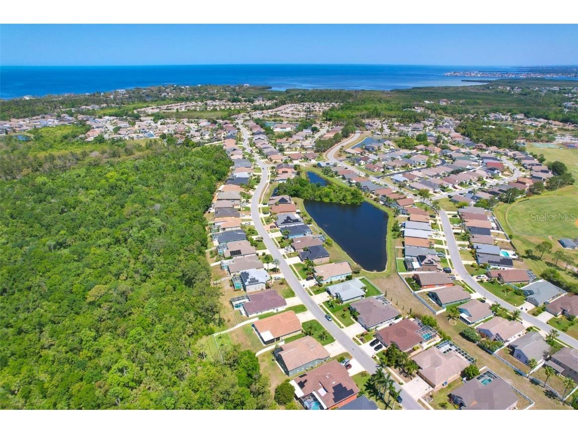 2321 Wood Pointe Drive Holiday FL 34691 TB8378967 image59