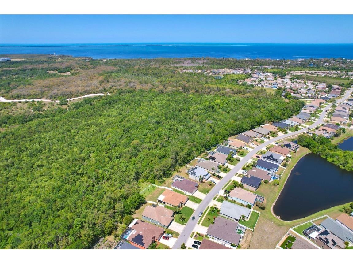 2321 Wood Pointe Drive Holiday FL 34691 TB8378967 image60