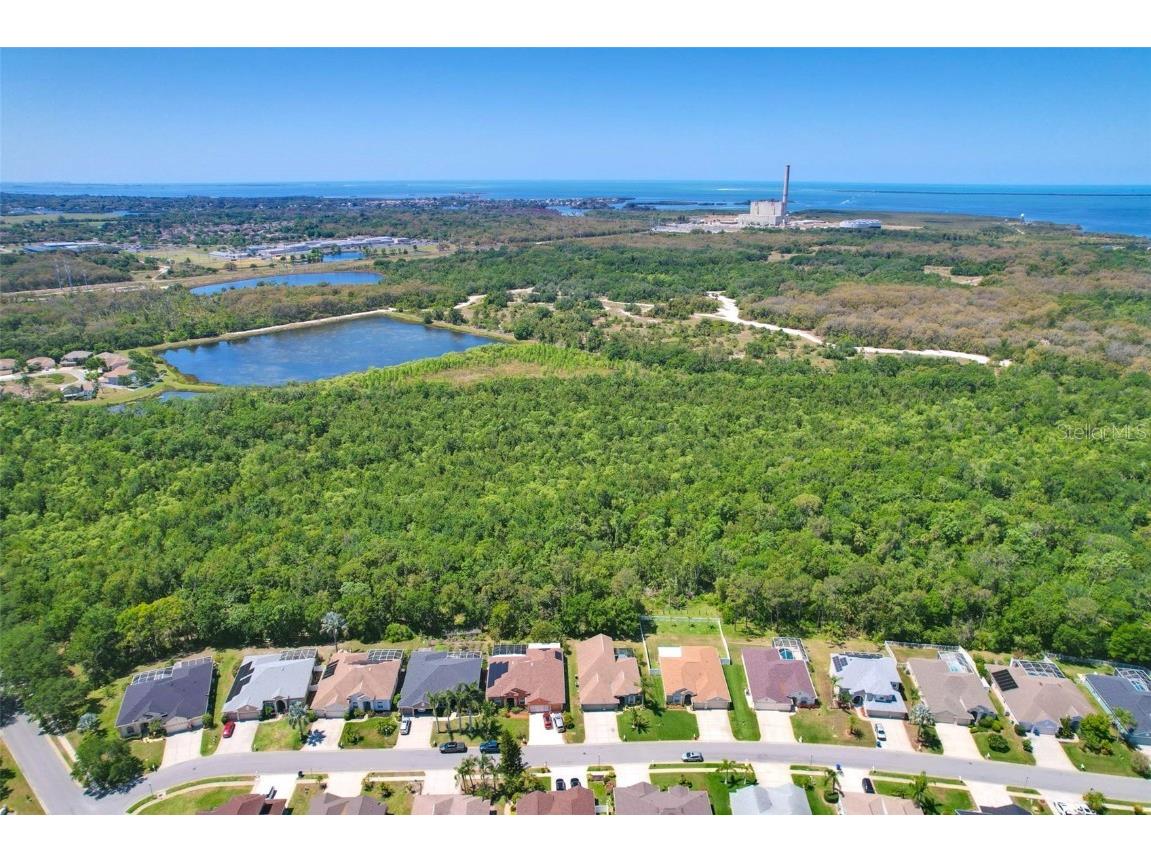 2321 Wood Pointe Drive Holiday FL 34691 TB8378967 image61