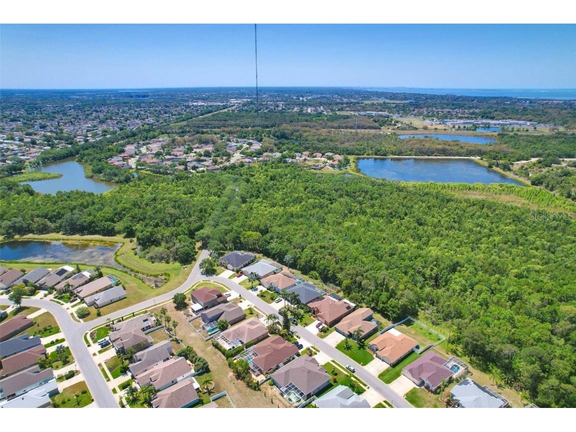 2321 Wood Pointe Drive Holiday FL 34691 TB8378967 image62