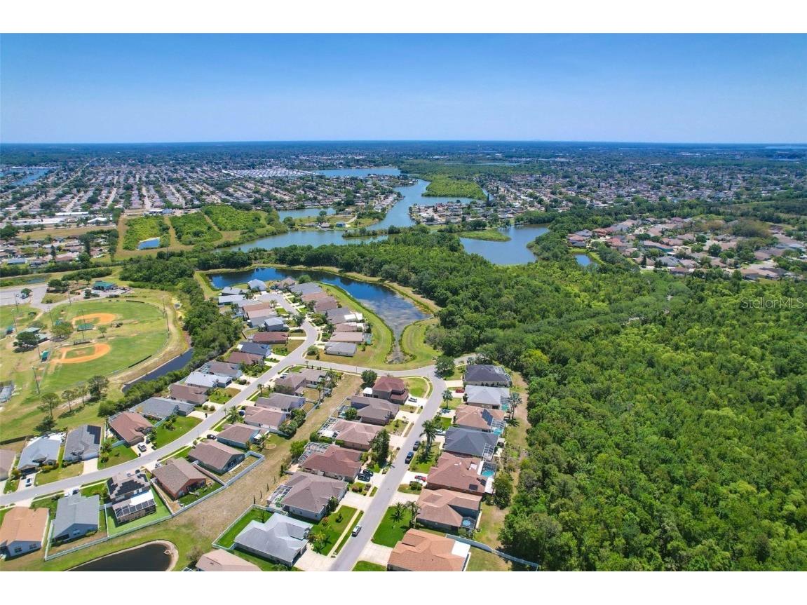 2321 Wood Pointe Drive Holiday FL 34691 TB8378967 image63