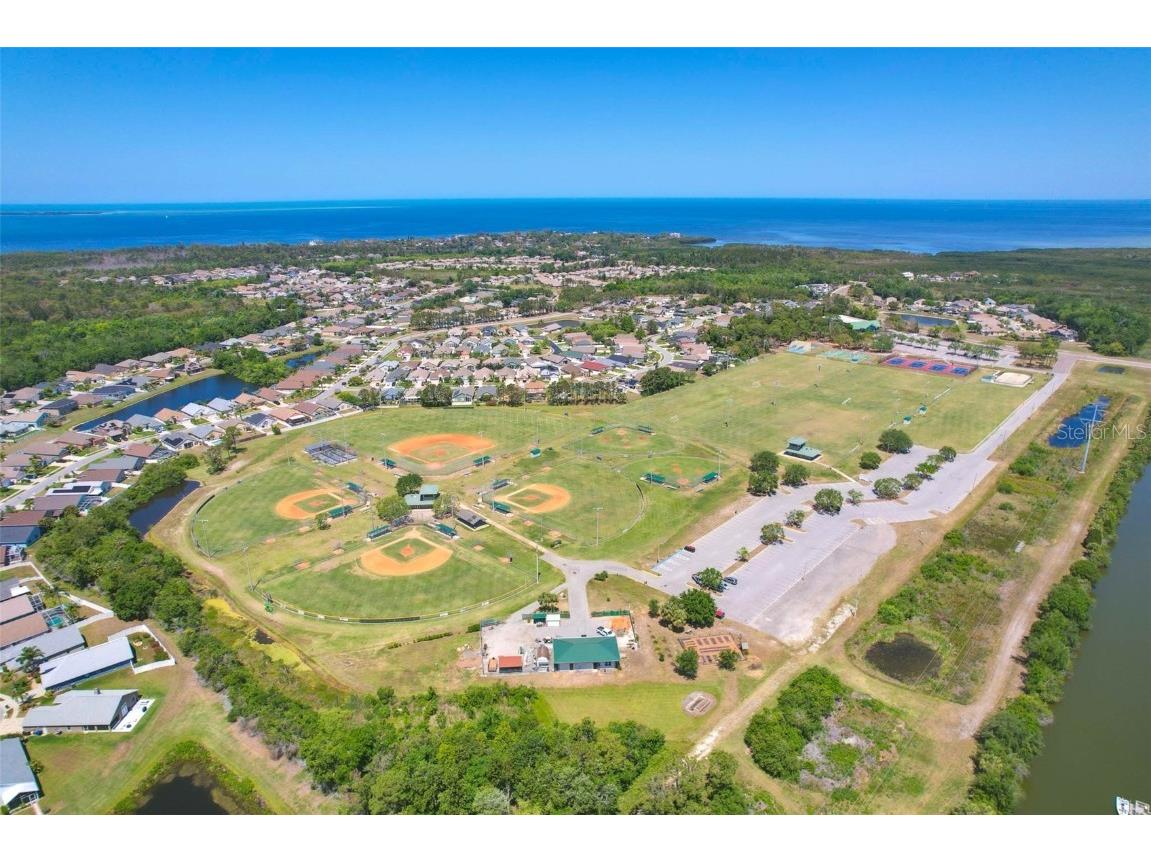 2321 Wood Pointe Drive Holiday FL 34691 TB8378967 image66