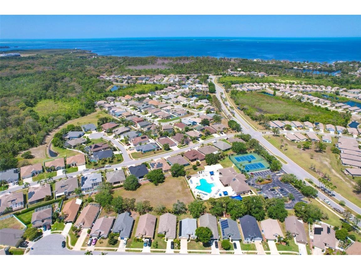 2321 Wood Pointe Drive Holiday FL 34691 TB8378967 image71