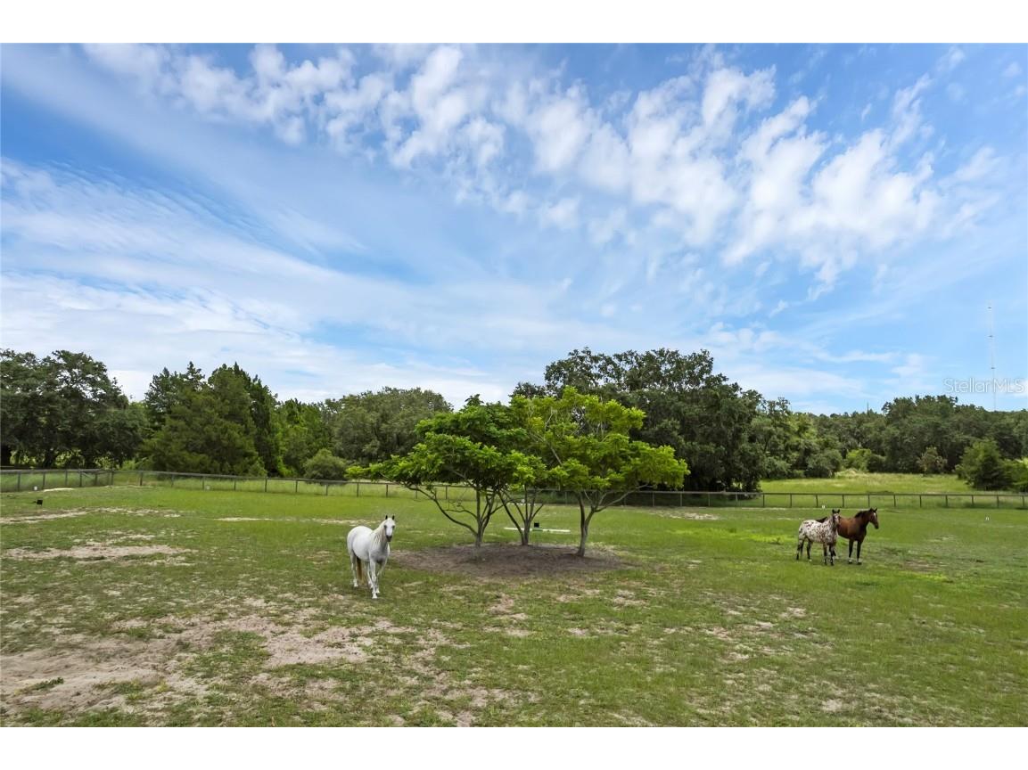 23210 Brouwertown Road Howey In The Hills FL 34737 O6330652 image32