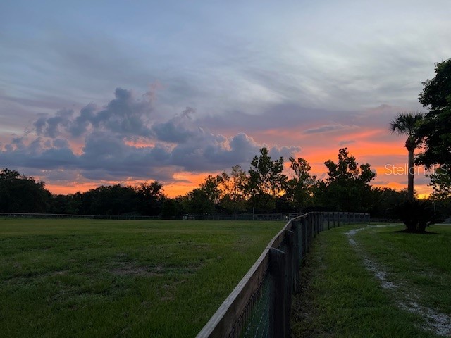 23210 Brouwertown Road Howey In The Hills FL 34737 O6330652 image37