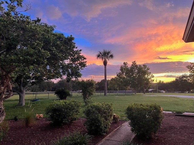 23210 Brouwertown Road Howey In The Hills FL 34737 O6330652 image39