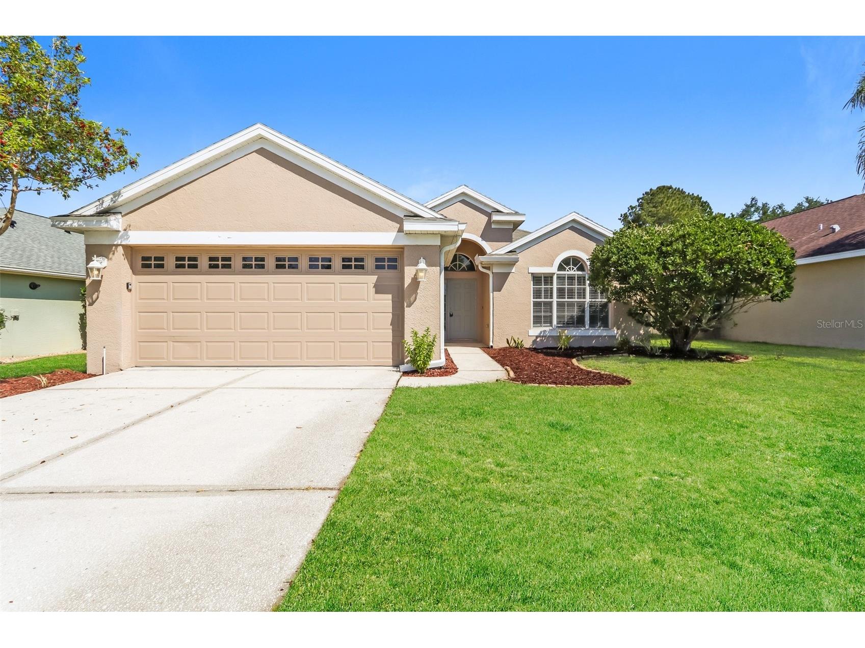 23211 Bayou Grove Street Land O Lakes FL 34639 C7526510 image1