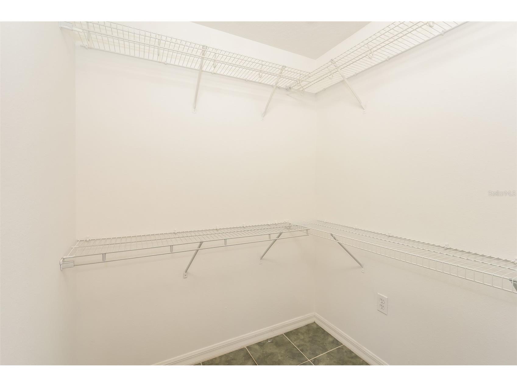 23211 Bayou Grove Street Land O Lakes FL 34639 C7526510 image13