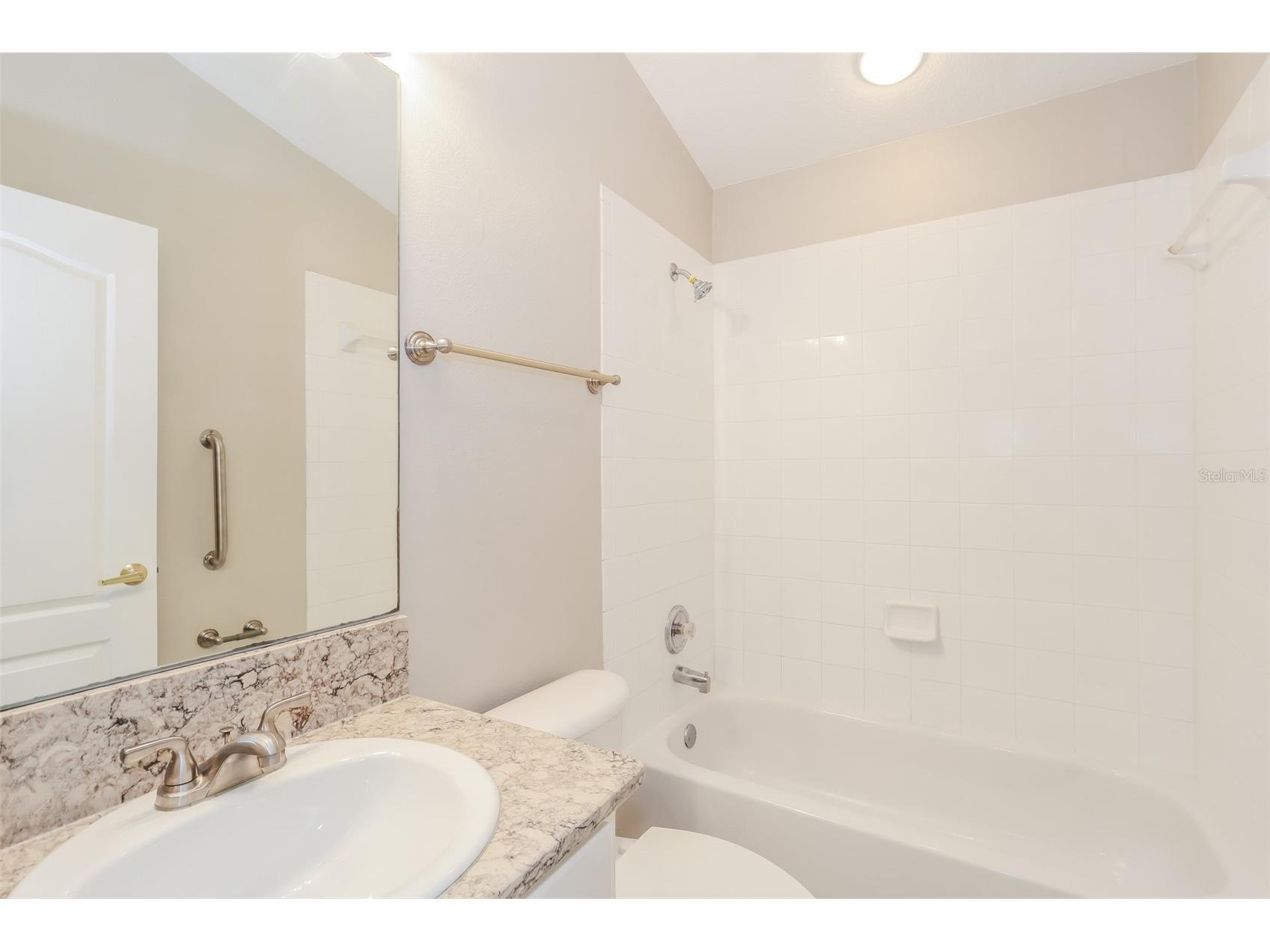 23211 Bayou Grove Street Land O Lakes FL 34639 C7526510 image6