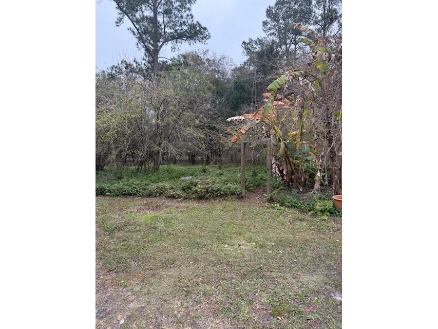 23216 NE 35th Avenue Melrose FL 32666 GC533542 image15