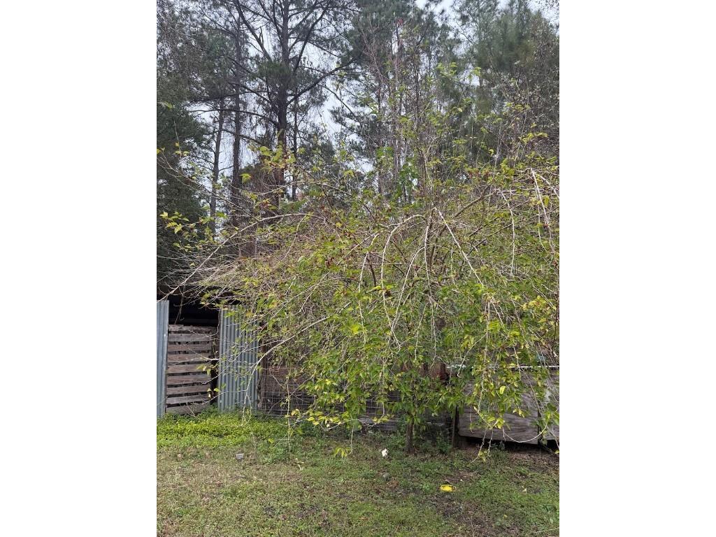 23216 NE 35th Avenue Melrose FL 32666 GC533542 image19