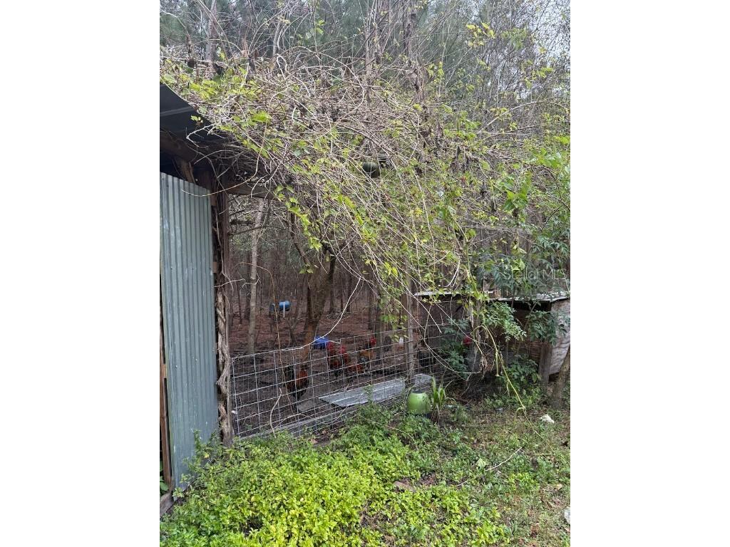 23216 NE 35th Avenue Melrose FL 32666 GC533542 image21