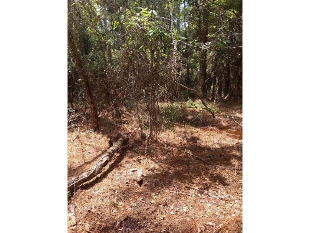 23216 NE 35th Avenue Melrose FL 32666 GC533542 image28