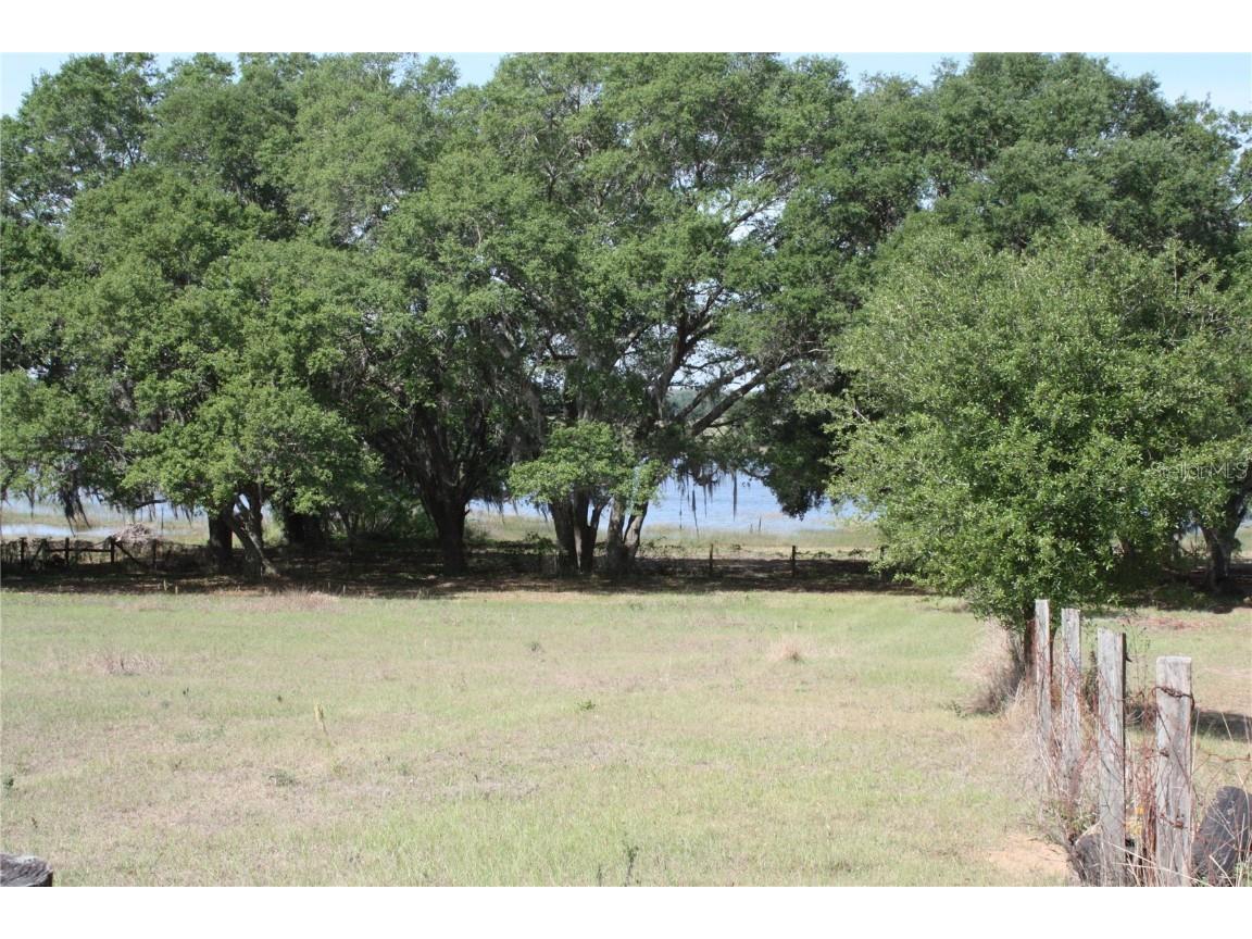 23217 Thomas Allen Road Howey In The Hills FL 34737 G5065903 image1