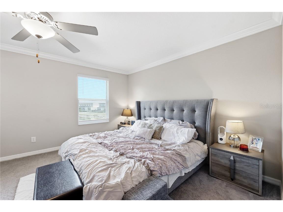 23217 Willow Glen Way Lutz FL 33549 TB8446732 image26