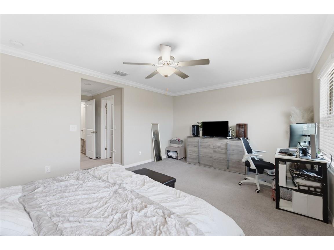 23217 Willow Glen Way Lutz FL 33549 TB8446732 image27