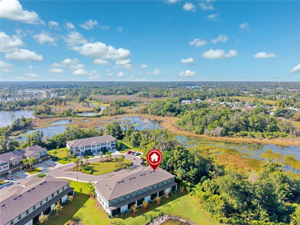 23217 Willow Glen Way Lutz FL 33549 TB8446732 image37