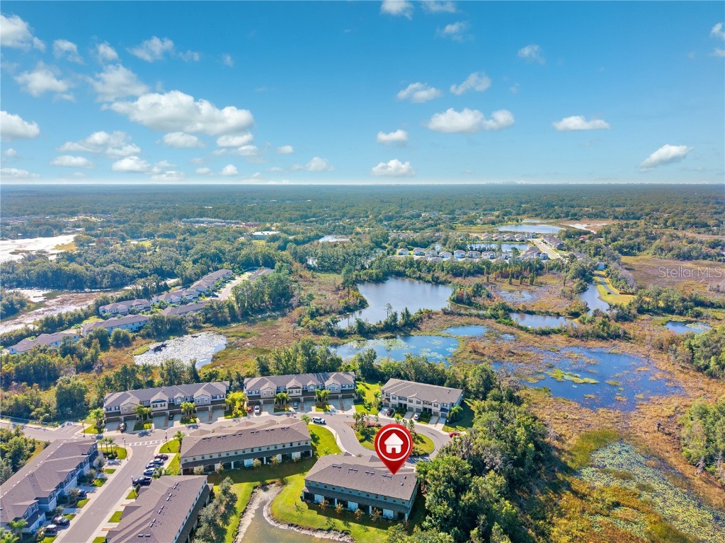 23217 Willow Glen Way Lutz FL 33549 TB8446732 image38