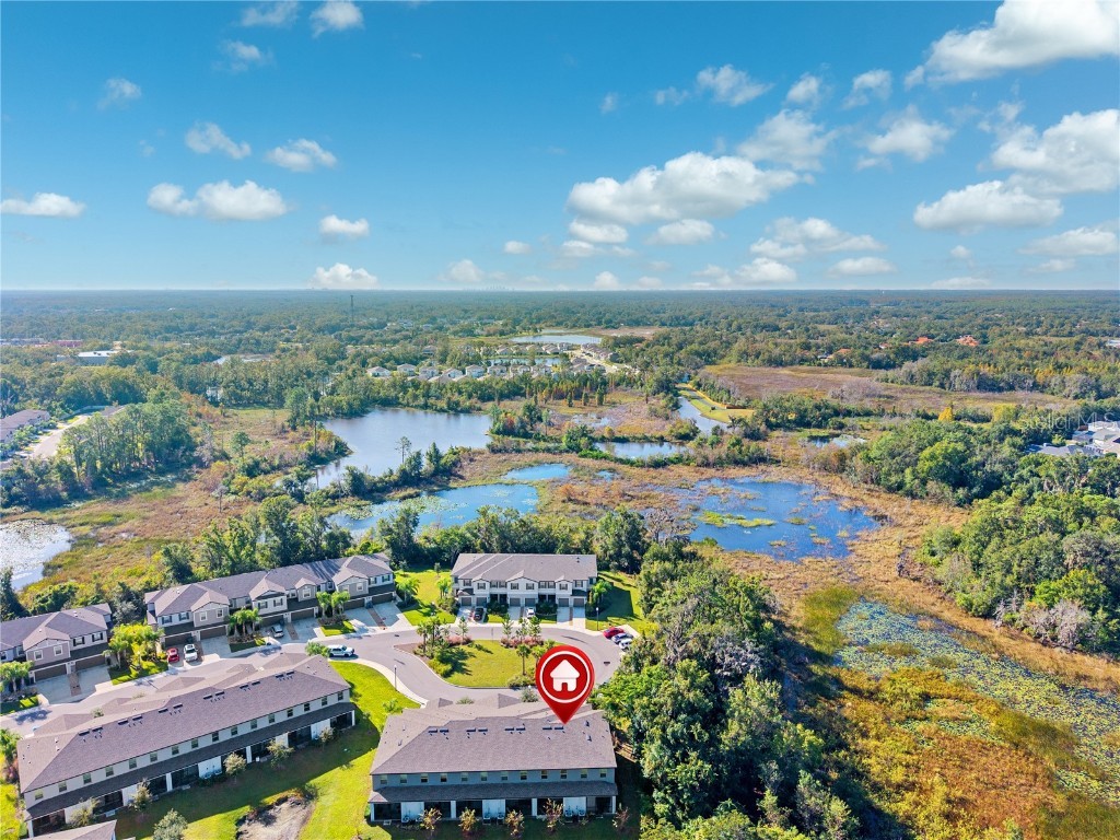 23217 Willow Glen Way Lutz FL 33549 TB8446732 image39