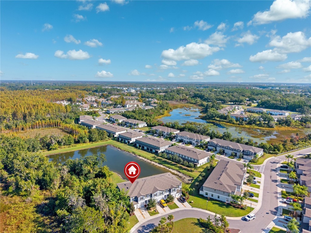 23217 Willow Glen Way Lutz FL 33549 TB8446732 image40