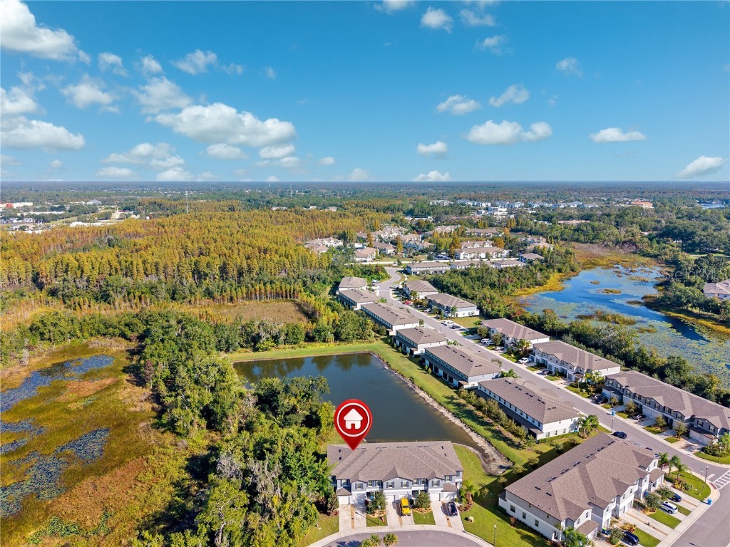 23217 Willow Glen Way Lutz FL 33549 TB8446732 image41